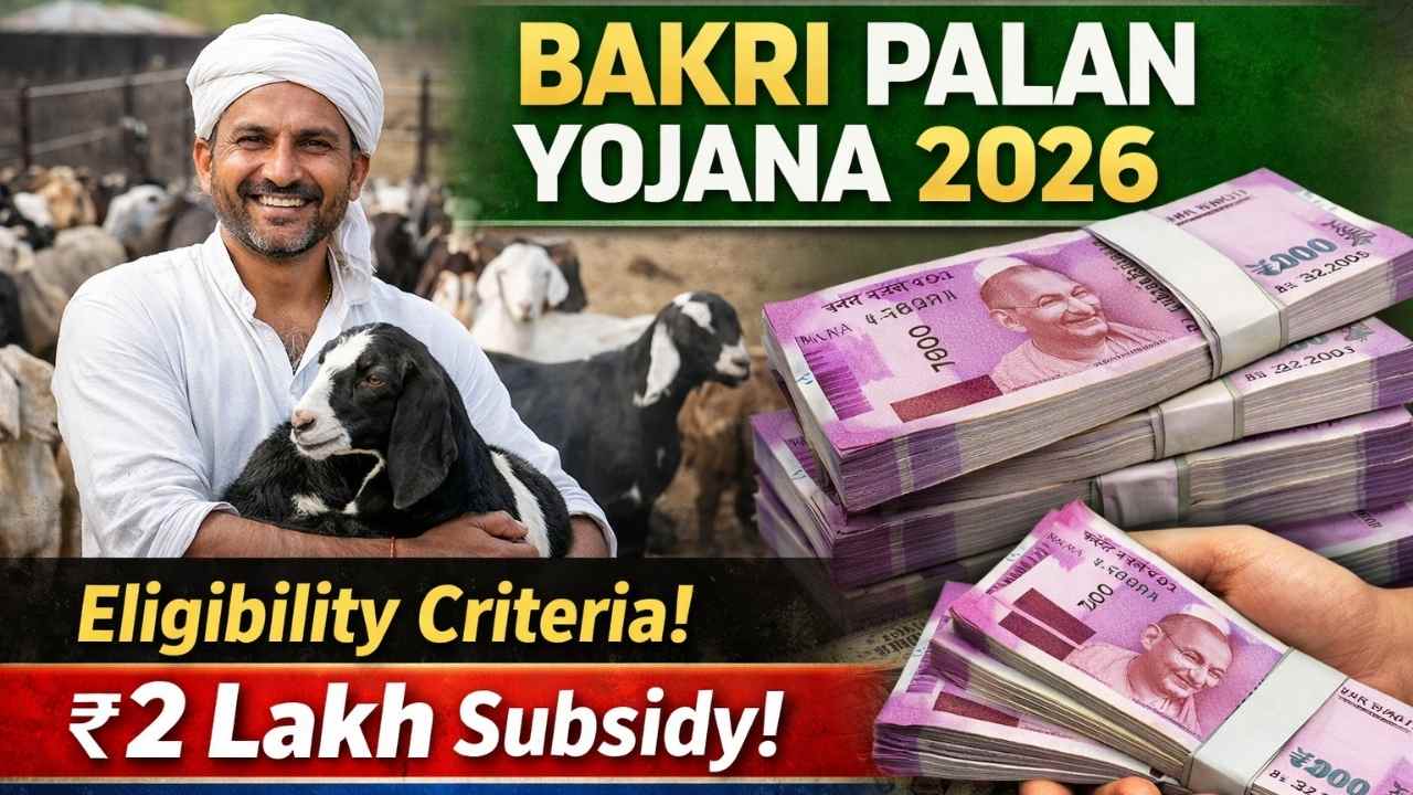 Bakri Palan Yojana 2026: Eligibility, ₹2 Lakh Subsidy And Application Steps